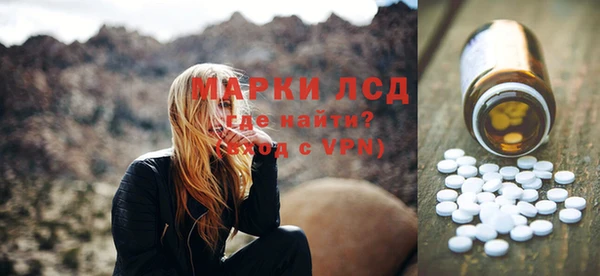 spice Богданович