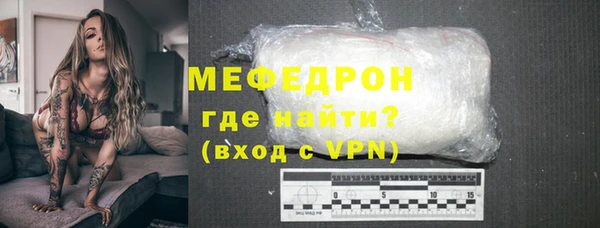 spice Богданович