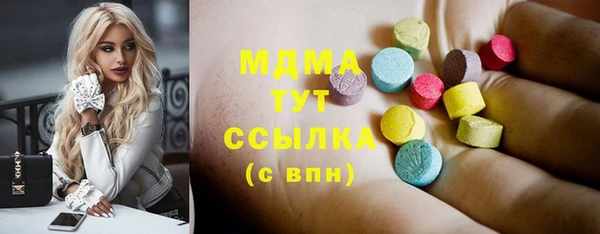 молекула духа Богородицк