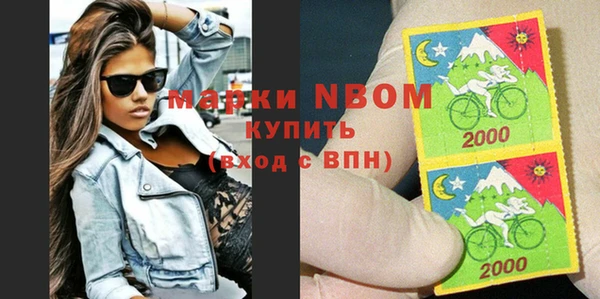 молекула духа Богородицк