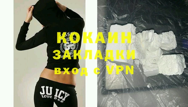 молекула духа Богородицк