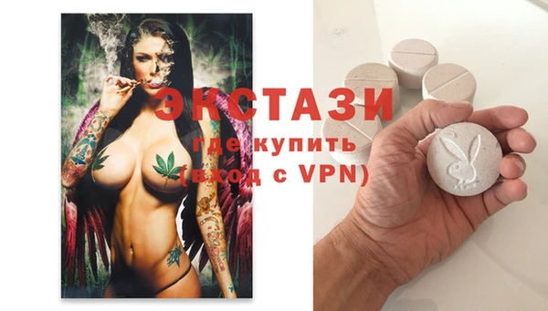 молекула духа Богородицк