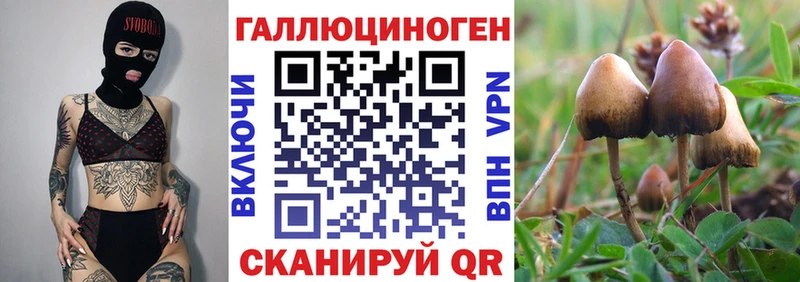 Псилоцибиновые грибы ЛСД  Микунь 